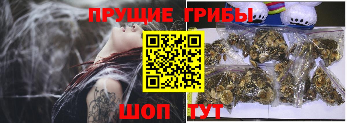 Галлюциногенные грибы GOLDEN TEACHER  Вход с VPN  Тулун 
